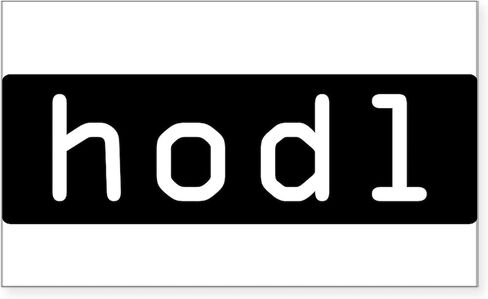 CafePress HODL Cryptocurrency Crypto Bitcoin Ethereu Sticker Rectangle Bumper Sticker Car Decal in Kuwait