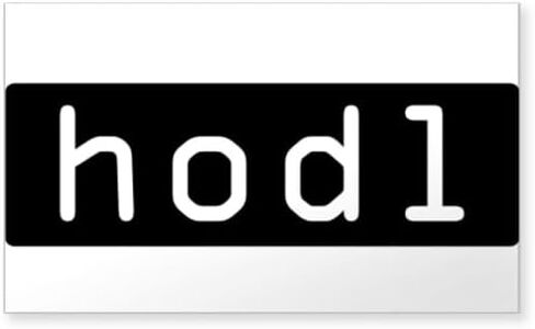 CafePress HODL Cryptocurrency Crypto Bitcoin Ethereu Sticker Rectangle Bumper Sticker Car Decal in Saudi Arabia
