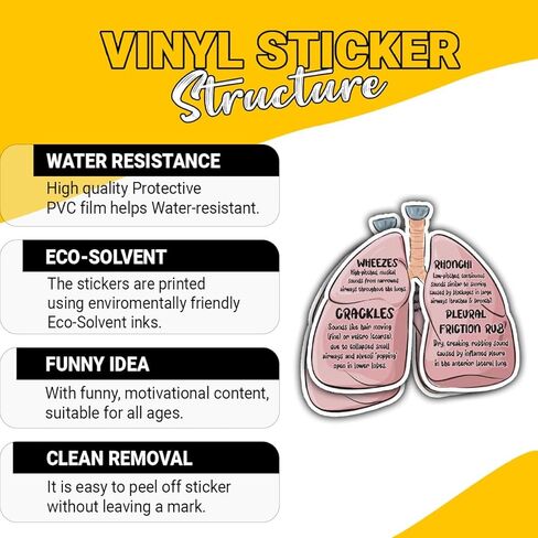 (3Pcs-3in) Lung Sounds Hand Drawn Stickers, Medical Anatomy Vinyl Decals Gifts for Respiratory Care Students, Nurses, Doctors, Healthcare Workers, for Laptop, Water Bottle, Journals, Clipboards in Kuwait