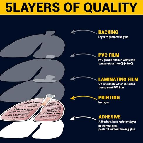 (3Pcs-3in) Lung Sounds Hand Drawn Stickers, Medical Anatomy Vinyl Decals Gifts for Respiratory Care Students, Nurses, Doctors, Healthcare Workers, for Laptop, Water Bottle, Journals, Clipboards in Kuwait