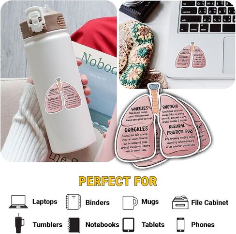 (3Pcs-3in) Lung Sounds Hand Drawn Stickers, Medical Anatomy Vinyl Decals Gifts for Respiratory Care Students, Nurses, Doctors, Healthcare Workers, for Laptop, Water Bottle, Journals, Clipboards in Kuwait
