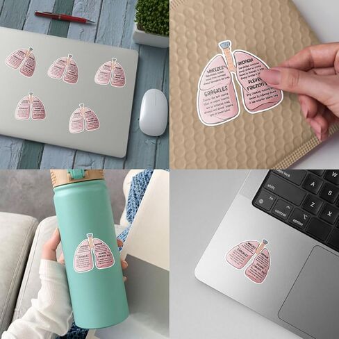 (3Pcs-3in) Lung Sounds Hand Drawn Stickers, Medical Anatomy Vinyl Decals Gifts for Respiratory Care Students, Nurses, Doctors, Healthcare Workers, for Laptop, Water Bottle, Journals, Clipboards in Kuwait