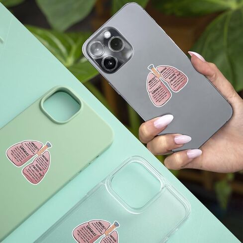 (3Pcs-3in) Lung Sounds Hand Drawn Stickers, Medical Anatomy Vinyl Decals Gifts for Respiratory Care Students, Nurses, Doctors, Healthcare Workers, for Laptop, Water Bottle, Journals, Clipboards in Kuwait