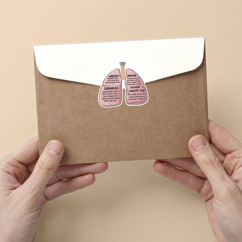 (3Pcs-3in) Lung Sounds Hand Drawn Stickers, Medical Anatomy Vinyl Decals Gifts for Respiratory Care Students, Nurses, Doctors, Healthcare Workers, for Laptop, Water Bottle, Journals, Clipboards in Kuwait