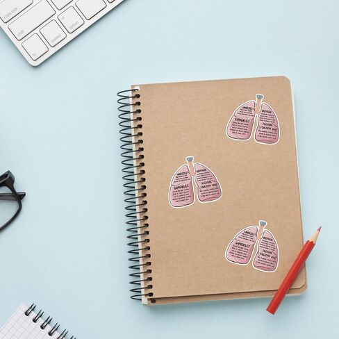 (3Pcs-3in) Lung Sounds Hand Drawn Stickers, Medical Anatomy Vinyl Decals Gifts for Respiratory Care Students, Nurses, Doctors, Healthcare Workers, for Laptop, Water Bottle, Journals, Clipboards in Kuwait