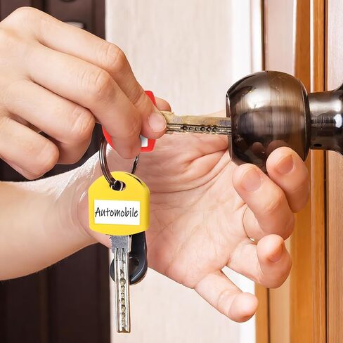 JANYUN 60 Pcs Colored Key Covers, 1 Inch Rubber Key Identifiers Tags with Labels Key Head Protectors for Home Office Car Keys Classification Organization in Saudi Arabia