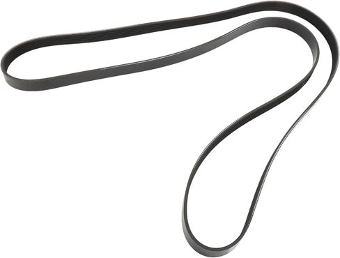 ACDelco GM Original Equipment 12732503 Accessory Drive Primary Belt in Saudi Arabia