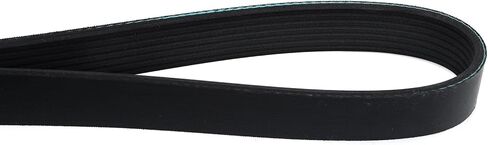 MOCA EPDM Serpentine Belt 7PK1125 Fits 15-19 for Nissan Micra L4 1.6L, 13-17 for Nissan Versa L4 1.6L, 18-19 for Nissan Versa Note L4 1.6L, 14-17 for Nissan Versa Note L4 1.6L in Saudi Arabia