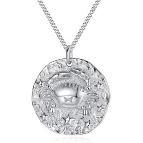 VIKI LYNN Zodiac Constellation Necklace 925 Sterling Silver Horoscope Jewelry for Women in Saudi Arabia