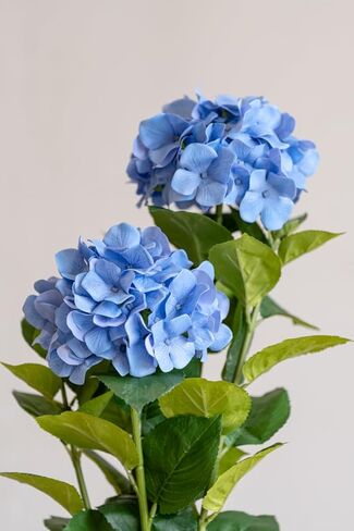 شجرة كوبية صناعية كبيرة في وعاء - نبات كوبية صناعي حقيقي الملمس للديكور الداخلي والخارجي، مثالي للمداخل والقطع المركزية (أزرق) in Kuwait