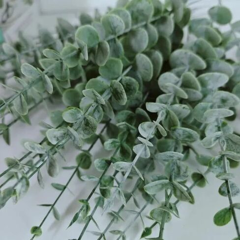 12Pcs/Bunch Artificial Eucalyptus Stems Leaves Green Fake Plastic Plant Leaves Wedding Party DIY Table Decoration,40x4x2cm (Frost White) in Saudi Arabia