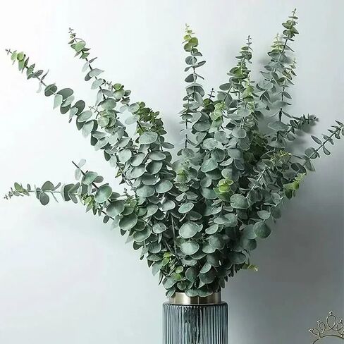 12Pcs/Bunch Artificial Eucalyptus Stems Leaves Green Fake Plastic Plant Leaves Wedding Party DIY Table Decoration,40x4x2cm (Frost White) in Saudi Arabia