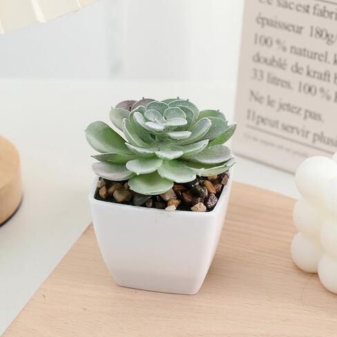 Succulents Plants Green Artificial Mini Fake Succulents Plants in Pots with Flowers for Office Desk Accessories Home Car Decor in Saudi Arabia