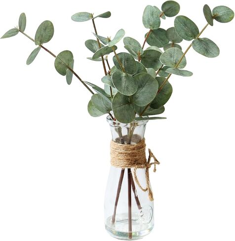 ديكور الغرفة ينبع الأوكالبتوس الاصطناعي في مزهرية زجاجية مع ماء صناعي، 3 قطع من نباتات الأوكالبتوس الخضراء المزيفة تترك فروعًا للحمام المركزي وغرفة النوم ورف الطاولة للمنزل in Kuwait