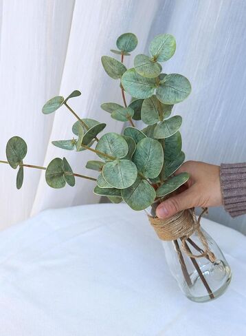 ديكور الغرفة ينبع الأوكالبتوس الاصطناعي في مزهرية زجاجية مع ماء صناعي، 3 قطع من نباتات الأوكالبتوس الخضراء المزيفة تترك فروعًا للحمام المركزي وغرفة النوم ورف الطاولة للمنزل in Kuwait