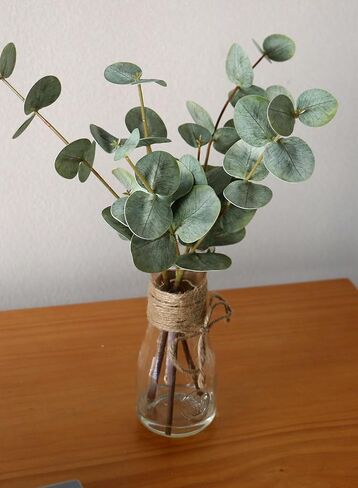 ديكور الغرفة ينبع الأوكالبتوس الاصطناعي في مزهرية زجاجية مع ماء صناعي، 3 قطع من نباتات الأوكالبتوس الخضراء المزيفة تترك فروعًا للحمام المركزي وغرفة النوم ورف الطاولة للمنزل in Kuwait