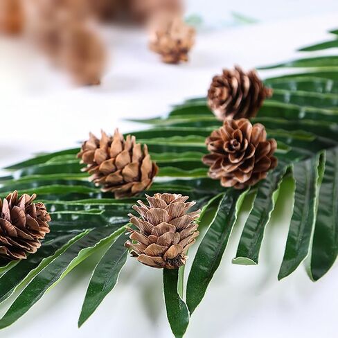 GSHLLO 150 Pcs 1-2cm Mini Pine Cones - Brown, Perfect for Vase Fillers, Table Decorations in Saudi Arabia