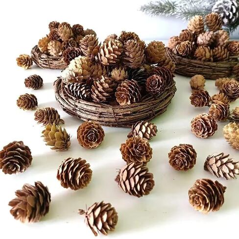 GSHLLO 150 Pcs 1-2cm Mini Pine Cones - Brown, Perfect for Vase Fillers, Table Decorations in Saudi Arabia