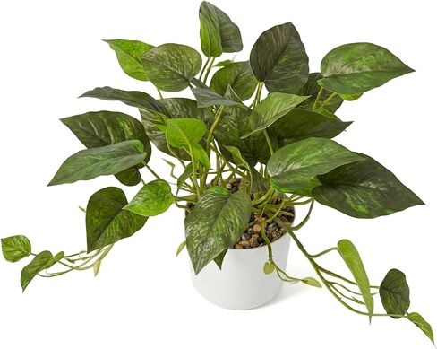 Artificial Plants Faux Pothos with Plastic White Pot Artificial Potted Plant for Home Office Bedroom Indoor Outdoor Decor 1 Pack(Dark Green) in Saudi Arabia