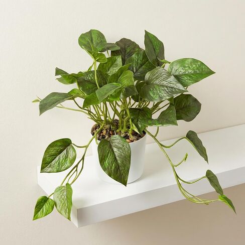 Artificial Plants Faux Pothos with Plastic White Pot Artificial Potted Plant for Home Office Bedroom Indoor Outdoor Decor 1 Pack(Dark Green) in Saudi Arabia