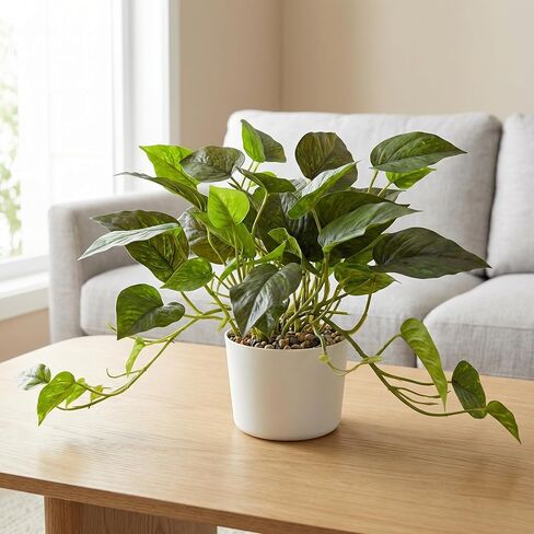 Artificial Plants Faux Pothos with Plastic White Pot Artificial Potted Plant for Home Office Bedroom Indoor Outdoor Decor 1 Pack(Dark Green) in Saudi Arabia