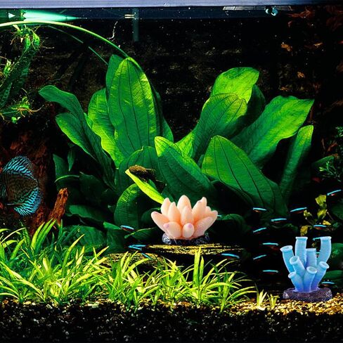 Rolin Roly 6pcs Coral Ornaments Aquarium Coral Colorful Fish Tank Ornament for Fish Tank Aquarium Landscape Decoration,Aquarium Landscape Decor (6PCS) in Kuwait