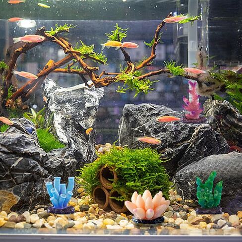 Rolin Roly 6pcs Coral Ornaments Aquarium Coral Colorful Fish Tank Ornament for Fish Tank Aquarium Landscape Decoration,Aquarium Landscape Decor (6PCS) in Kuwait
