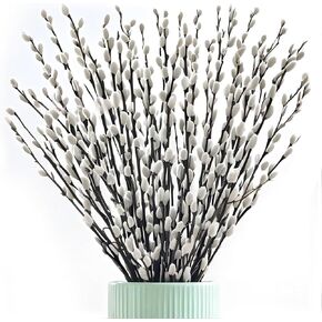 Oning 60 ينبع 17＂ فروع صفصاف الهرة المجففة الحقيقية للمزهرية، صفصاف الهرة الطبيعية مع الزهور البيضاء، فروع الصفصاف الثلجي للديكور الداخلي والخارجي، ساحة مدفأة الفندق وحفلات الزفاف in Kuwait