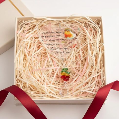 Robin Memorial Gifts, Warm Hanging Heart Plaque Present Acrylic Plaque Gifts with Poem to Remember Loved Ones in Saudi Arabia