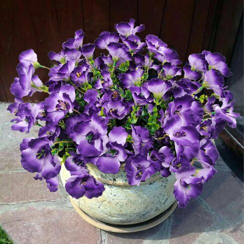 6 Artificial Hibiscus Flowers - UV Resistant Outdoor Silk Plants for Hanging Baskets, Porch & Garden Decor (White) in Kuwait