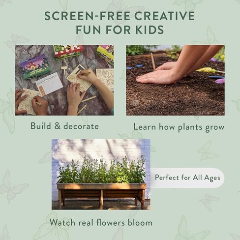 مجموعة من النشاط المخلوقون الحديثة في حديقة مجموعة 3 عبوات ، بداية بذور الحديقة ، حزمة بذور مختلطة الزهرة البرية ، الفراشة ، الخنفساء و Bumblebee in Kuwait