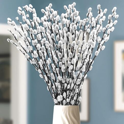 Oning 60 Stems 17＂Real Dried PussyWillow Branches for Vase, Natural PussyWillows with White Flowers, Snow Willow Branches for Indoor and Outdoor Decor, Wedding Home Party Hotel Fireplace Yard in Saudi Arabia