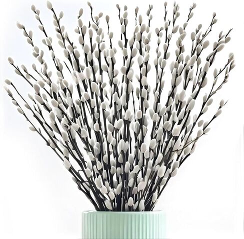 Oning 60 ينبع 17＂ فروع صفصاف الهرة المجففة الحقيقية للمزهرية، صفصاف الهرة الطبيعية مع الزهور البيضاء، فروع الصفصاف الثلجي للديكور الداخلي والخارجي، ساحة مدفأة الفندق وحفلات الزفاف in Kuwait