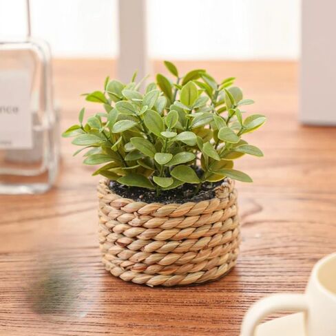 Artificial Potted Plants with Seagrass Handwoven Planters, Indoor Farmhouse Decorations, Eucalyptus Plant for Home Bathroom Office Shelf Tabletop Desk Room Decor or Gift (202450) in Saudi Arabia