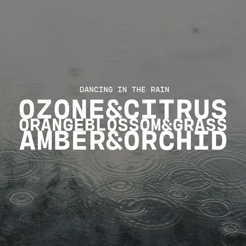 شركة ميلك هاوس كاندل ترقص تحت المطر يذوب شمع الصويا - زهر البرتقال | أوركيد الصيف | معطر بالعشب الذي تجتاحه الرياح - 5.5 أونصة، مصبوب يدويًا، صنع في الولايات المتحدة الأمريكية in Kuwait