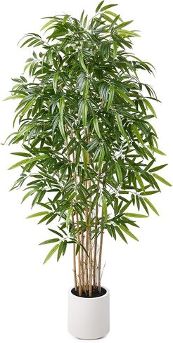 Fake Bamboo Plants - 6.5FT Tall Artificial Bamboo Tree with White Planter and Real Wood Poles - Lifelike Silk Faux Potted Plants for Indoor Home Office Decor in Kuwait