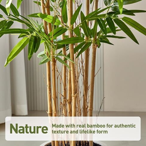 Fake Bamboo Plants - 6.5FT Tall Artificial Bamboo Tree with White Planter and Real Wood Poles - Lifelike Silk Faux Potted Plants for Indoor Home Office Decor in Kuwait