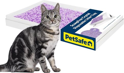 PetSafe ScoopFree Crystal Cat Litter & Refill Tray, Fresh Scent, 4.3 Lb Bag with Each Tray, Pack of 3 in Kuwait
