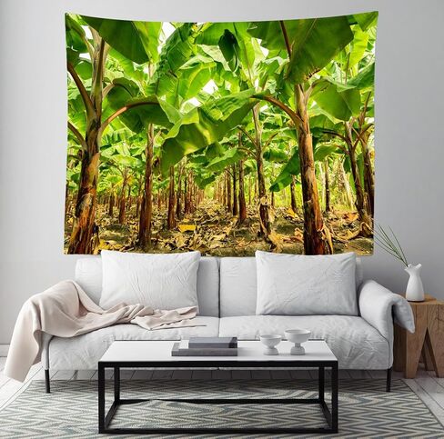 Loccor Banana Tree Plantation Tapestry Banana Trees Orchard Green Banana Leaf Tapestries for Fruit Harvest Theme Party Decorations Home Decor 80''x60'' in Saudi Arabia