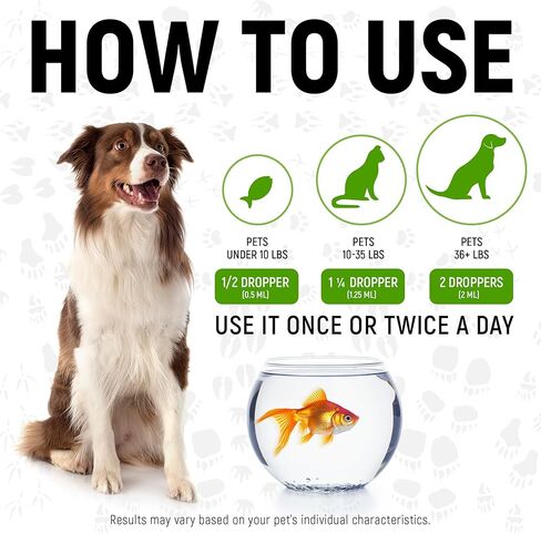 المضادات الحيوية للكلاب مع نكهة الدجاج | المضادات الحيوية сat للعدوى ، العدوى ، الحساسية ، سيلان الأنف | دعم الجهاز الهضمي | سلالات وأعمار مختلفة | Pau d'Arco + التوت البري في التكوين | 2 أوقية in Kuwait