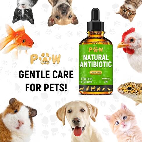 المضادات الحيوية للكلاب مع نكهة الدجاج | المضادات الحيوية сat للعدوى ، العدوى ، الحساسية ، سيلان الأنف | دعم الجهاز الهضمي | سلالات وأعمار مختلفة | Pau d'Arco + التوت البري في التكوين | 2 أوقية in Kuwait