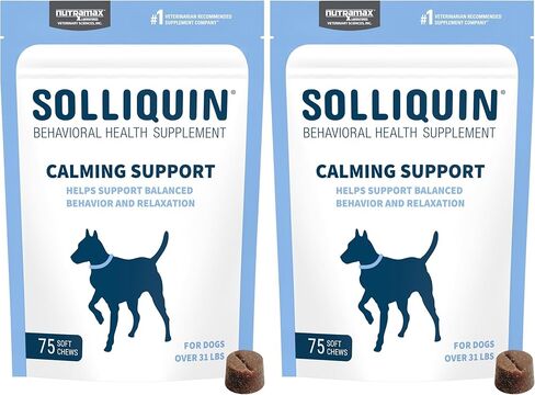 Nutramax Solliquin Calming Support Supplement for Dogs, Soft Chews, 75ct in Kuwait