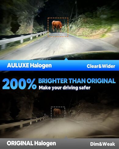 Compatible with Chevrolet Traverse 2013 2014 2015 2016 2017 2018 Halogen Headlight Bulb Combo - 185% Brighter 5000K White High/Low Beam, Plug and Play, 4-Pack in Kuwait