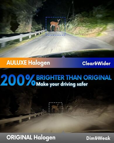 H11/H8/H9 Halogen Headlight/Fog Light 12V 100W White 5000K High/Low Beam Super Bright, 2 pack in Kuwait