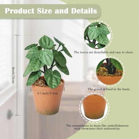 2 Pack Artificial Potted Plant,8 inch Small Realistic Faux Peperomia Leaves for Farmhouse Desk Indoor Decor, Fake Greenery for Office Table Kitchen Bathroom and Bedroom Decor(Dark Green) in Saudi Arabia