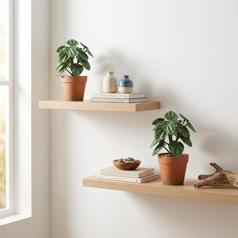2 Pack Artificial Potted Plant,8 inch Small Realistic Faux Peperomia Leaves for Farmhouse Desk Indoor Decor, Fake Greenery for Office Table Kitchen Bathroom and Bedroom Decor(Dark Green) in Saudi Arabia