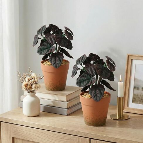 2 Pack Artificial Potted Plant,8 inch Small Realistic Faux Peperomia Leaves for Farmhouse Desk Indoor Decor, Fake Greenery for Office Table Kitchen Bathroom and Bedroom Decor(Dark Green) in Saudi Arabia