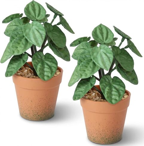 2 Pack Artificial Potted Plant,8 inch Small Realistic Faux Peperomia Leaves for Farmhouse Desk Indoor Decor, Fake Greenery for Office Table Kitchen Bathroom and Bedroom Decor(Dark Green) in Saudi Arabia