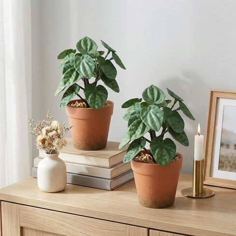 2 Pack Artificial Potted Plant,8 inch Small Realistic Faux Peperomia Leaves for Farmhouse Desk Indoor Decor, Fake Greenery for Office Table Kitchen Bathroom and Bedroom Decor(Dark Green) in Saudi Arabia