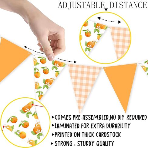 Orange Themed Party Bunting Banner Pre-Strung Citrus Triangle Pennant Flags for Baby Shower, Birthday, Summer Fruit Party Decorations in Saudi Arabia
